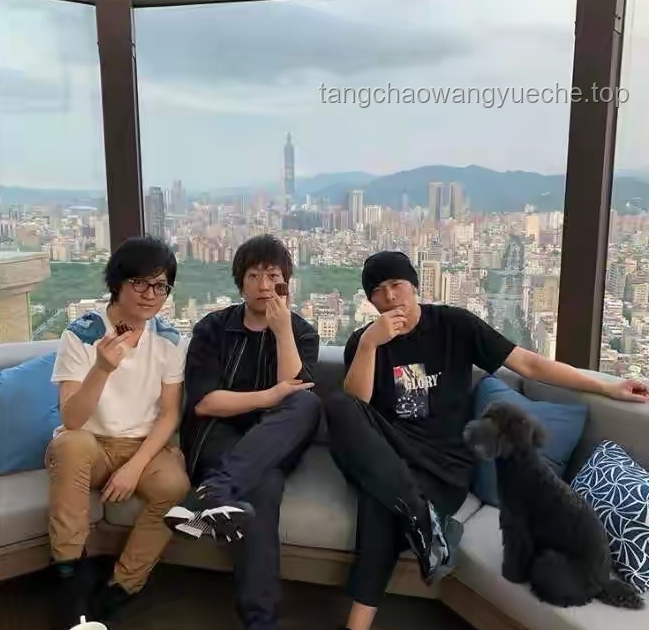 沈阳文旅回应与演员被摸腿事件调查进展对比